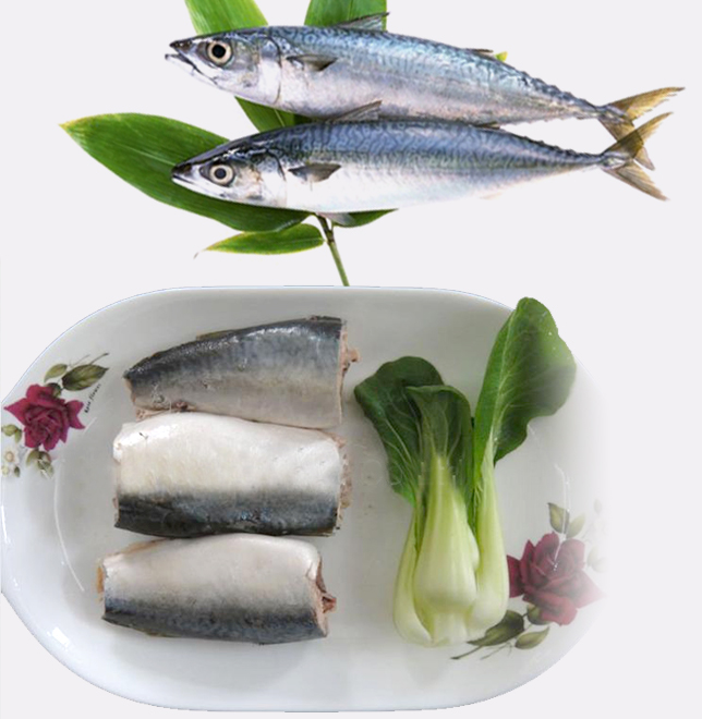 Canned mackerel